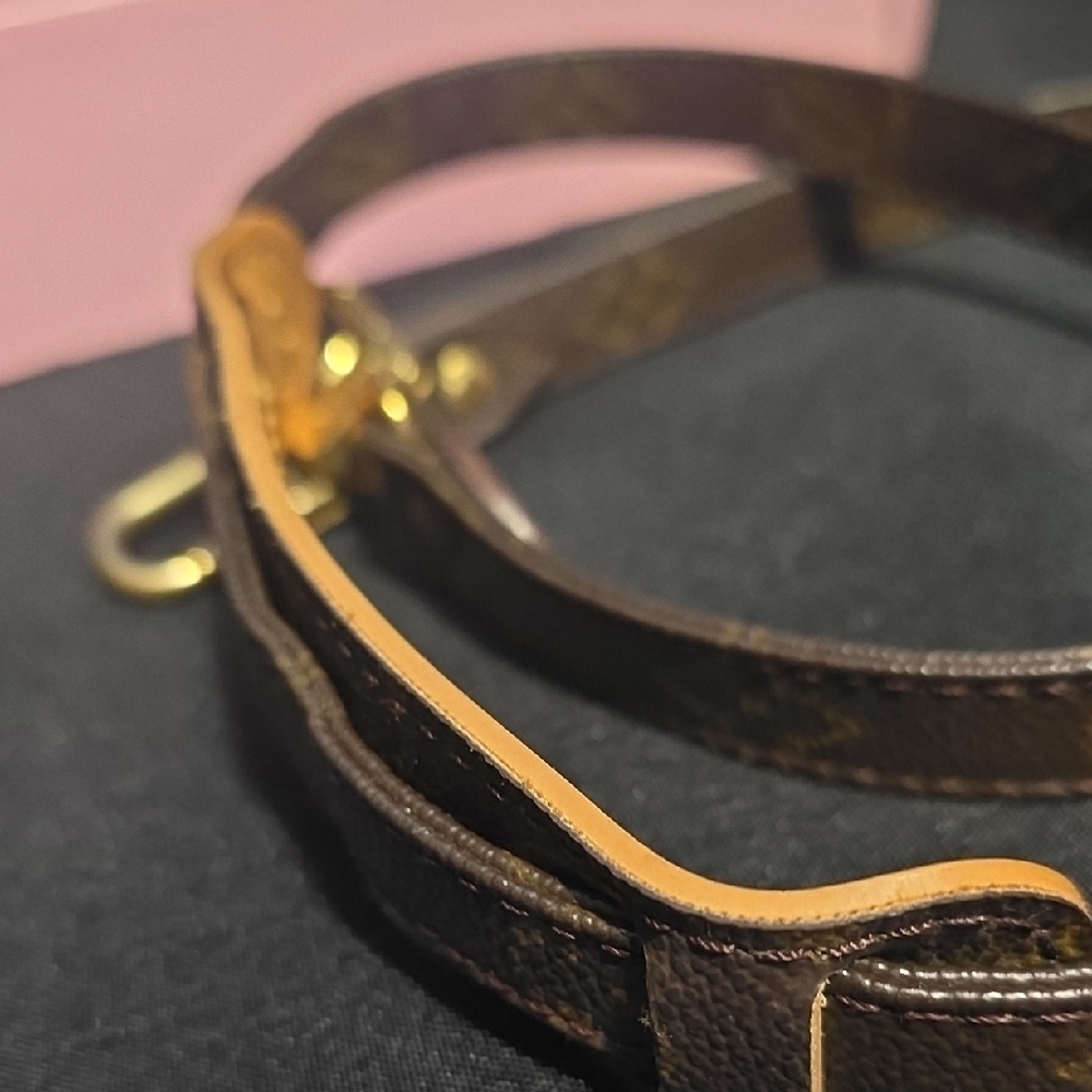 LOUIS VUITTON Monogram Strap - Picture 8 of 9
